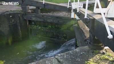 animal canal