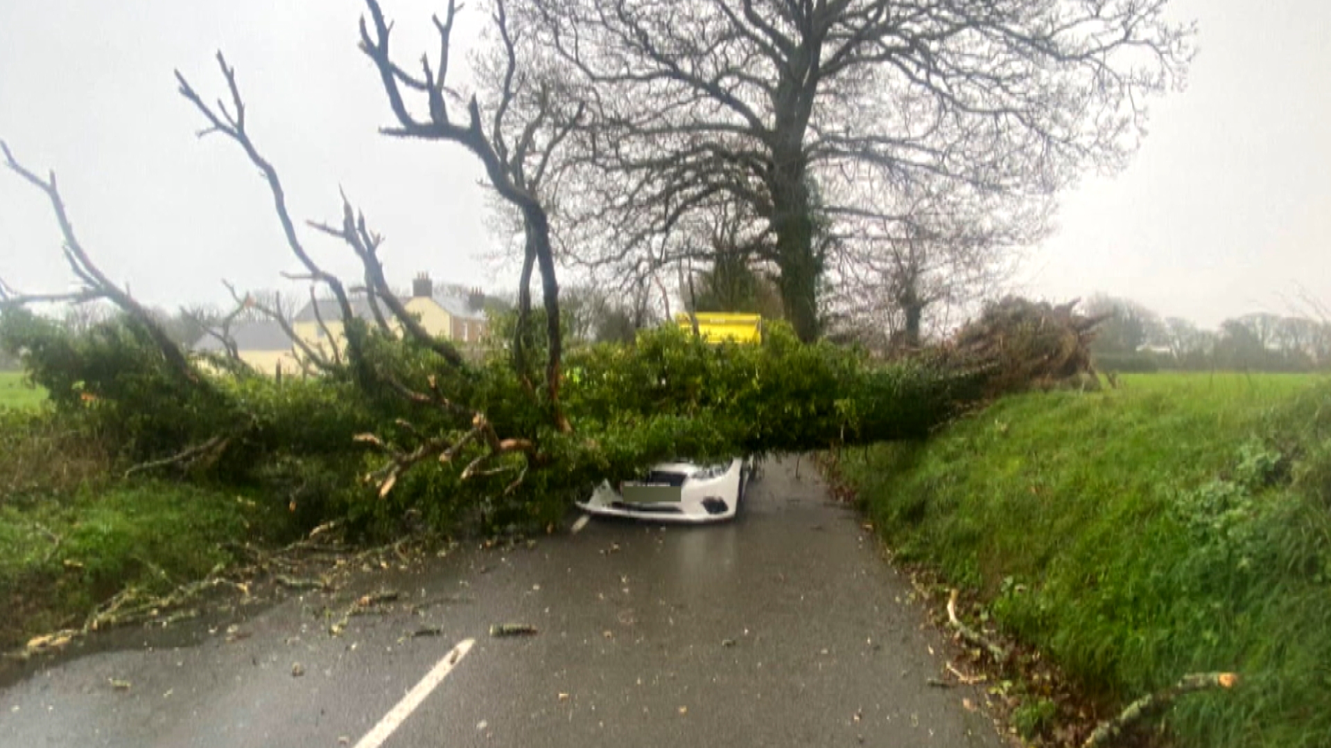 Jersey driver has lucky escape as tree falls onto car | ITV News Channel