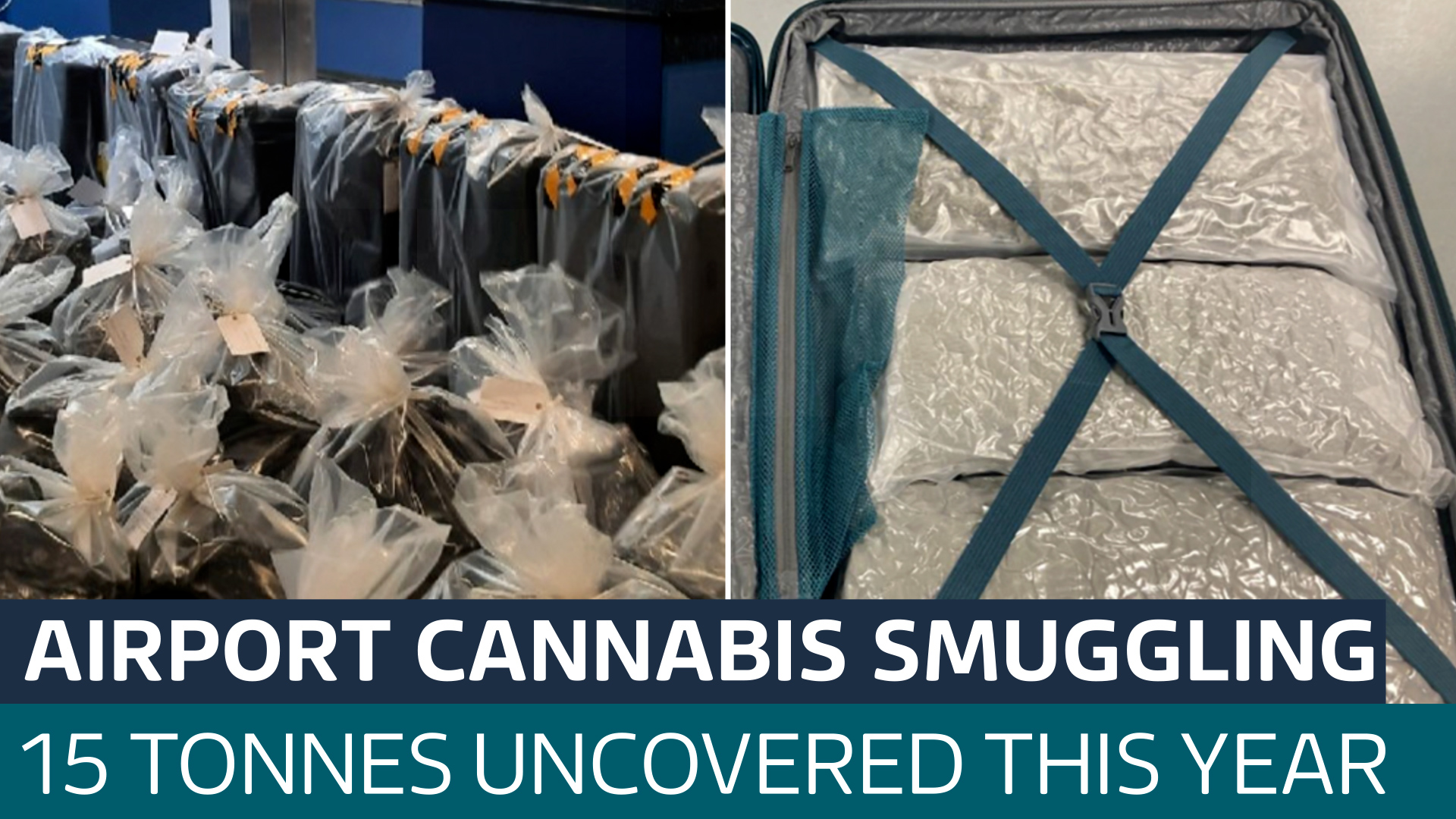 Around 15 tonnes of cannabis uncovered at UK airports so far this year ...