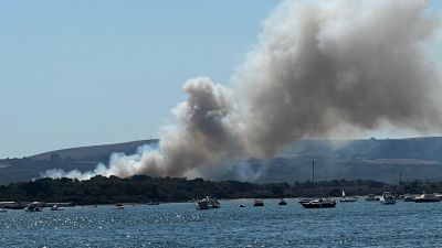 The fire has broken out in heathland in Studland.