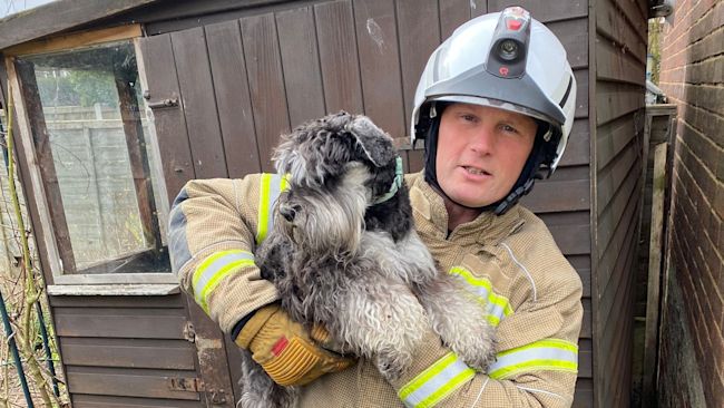 Photograph of firefighter who saved puppy issued by Suffolk Fire and Rescue Service.
Credit: Suffolk Fire and Rescue Service.