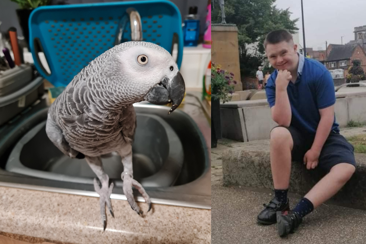 Man with Downs Syndrome says "world has changed" after support parrot