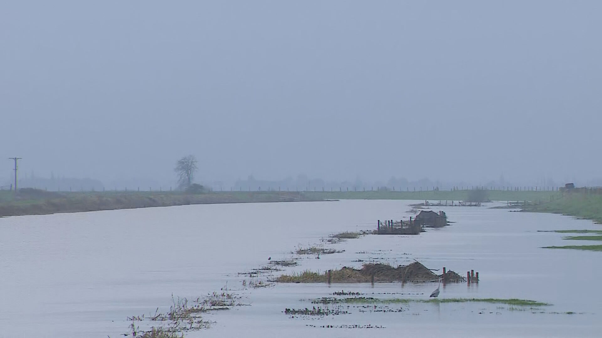 Fenland flooding following heavy rain after Storm Henk.
Credit: ITV News Anglia