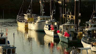 Fishing boats in Jersey harbour