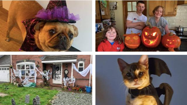 Your Halloween pictures Spooky houses, pumpkins and frightful fancy Your Halloween pictures Spooky houses, pumpkins and frightful fancy