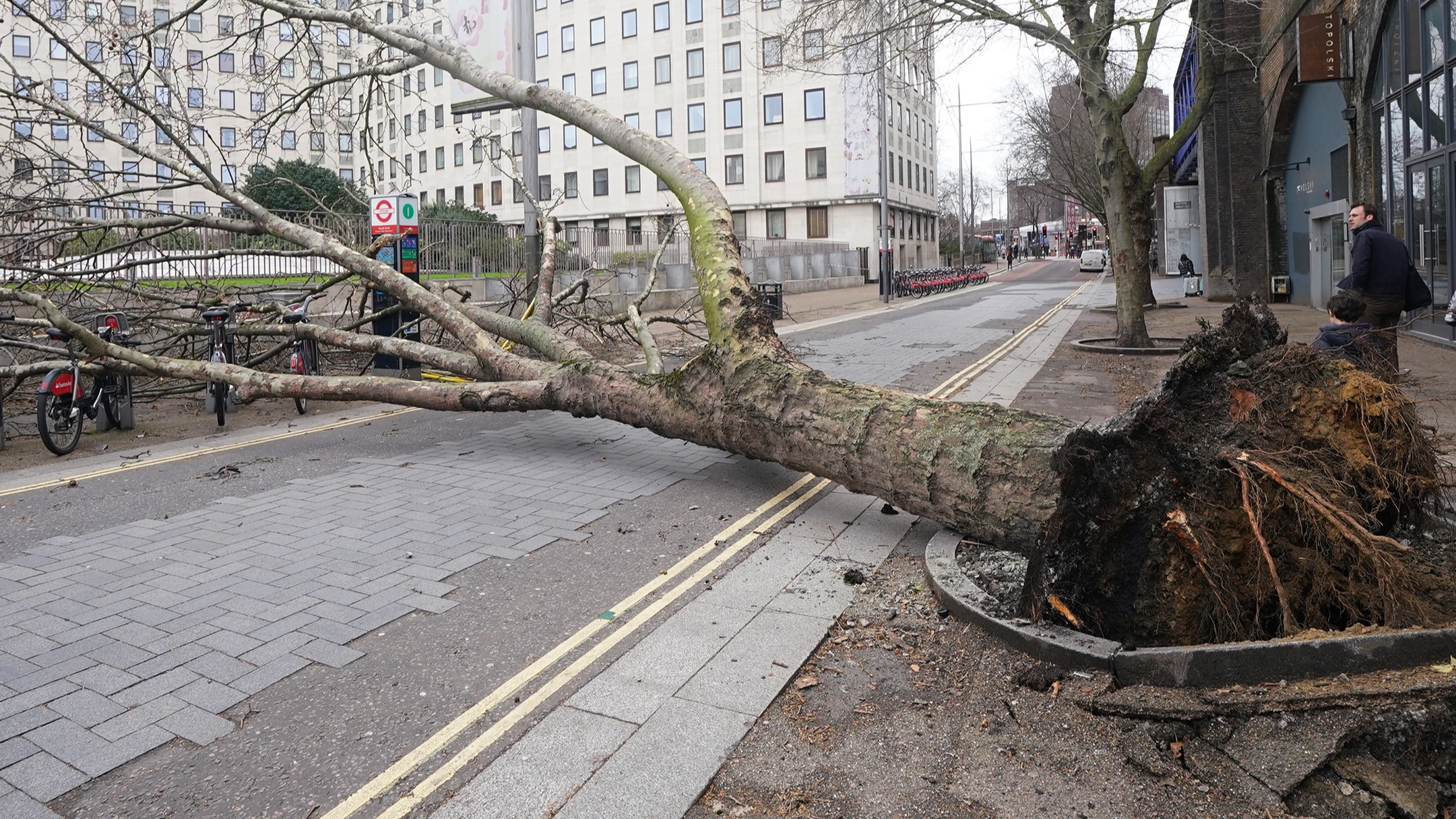 Woman killed after tree falls on car in Haringey as Storm Eunice ...