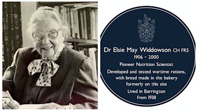 Picture of Elsie from 1990s and Blue plaque