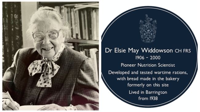 Picture of Elsie from 1990s and Blue plaque