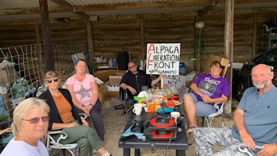 Alpaca supporters