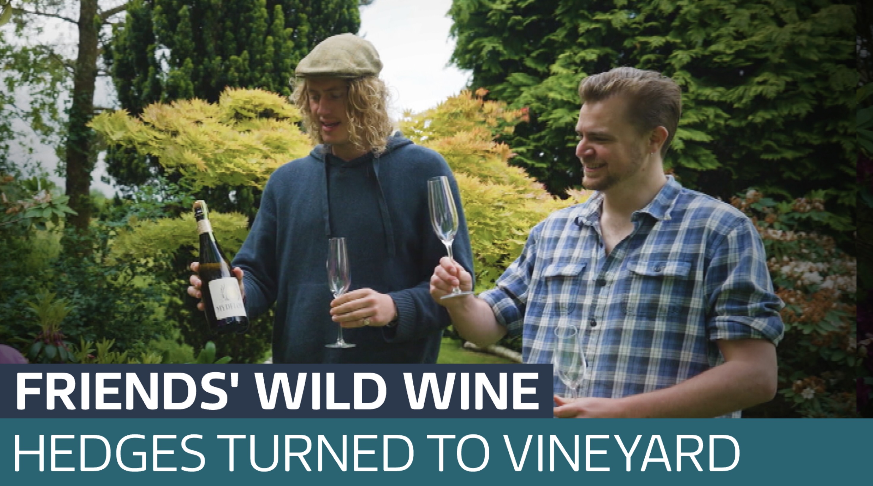 Meet the two friends making wine fresh from their hedges in the Brecon Beacons