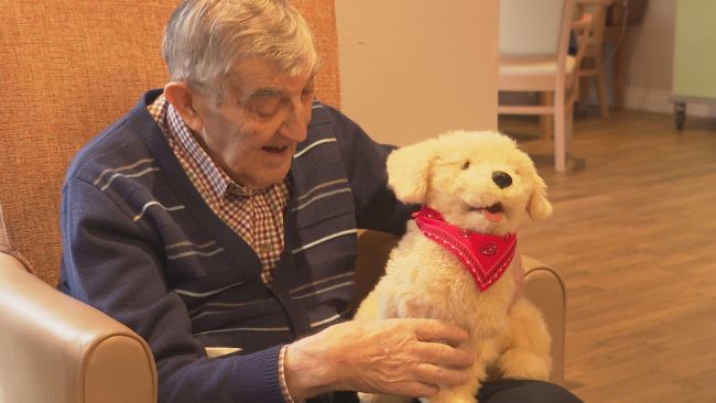Robotic pets are being used to help support residents of the care home.