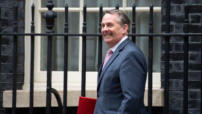 Liam Fox at Downing Street in June 2019