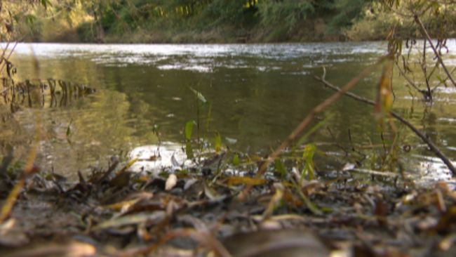Campaigners say the River Wye is dying 