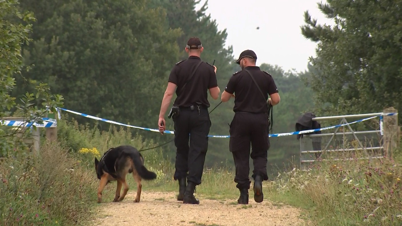 East Harling murder: Woodland where dog walker was stabbed to death has ...