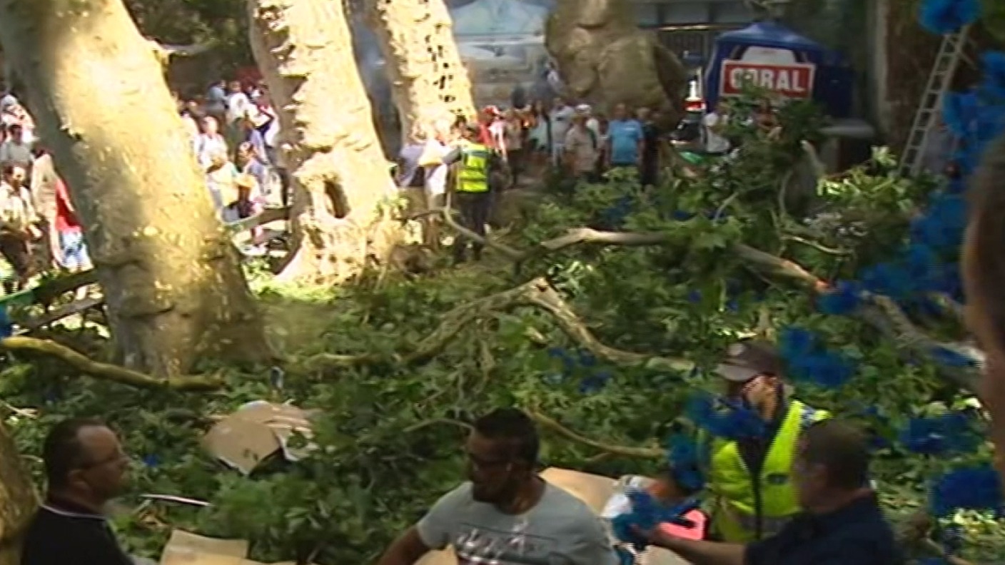 Falling Tree Kills 13 And Injures 49 At Madeira Festival | ITV News