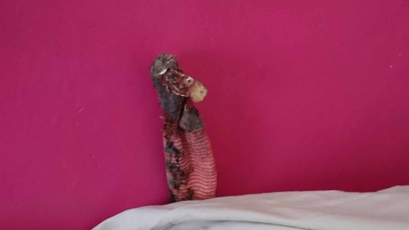 RSPCA officer called to retrieve lizard finds dirty sock | ITV News Central