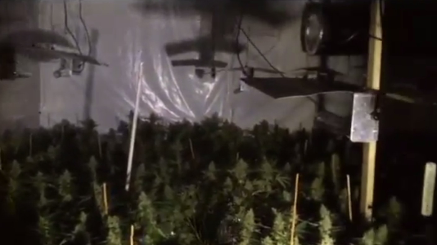 Arrests After Castlereagh 'cannabis Factory' Discovered | UTV | ITV News