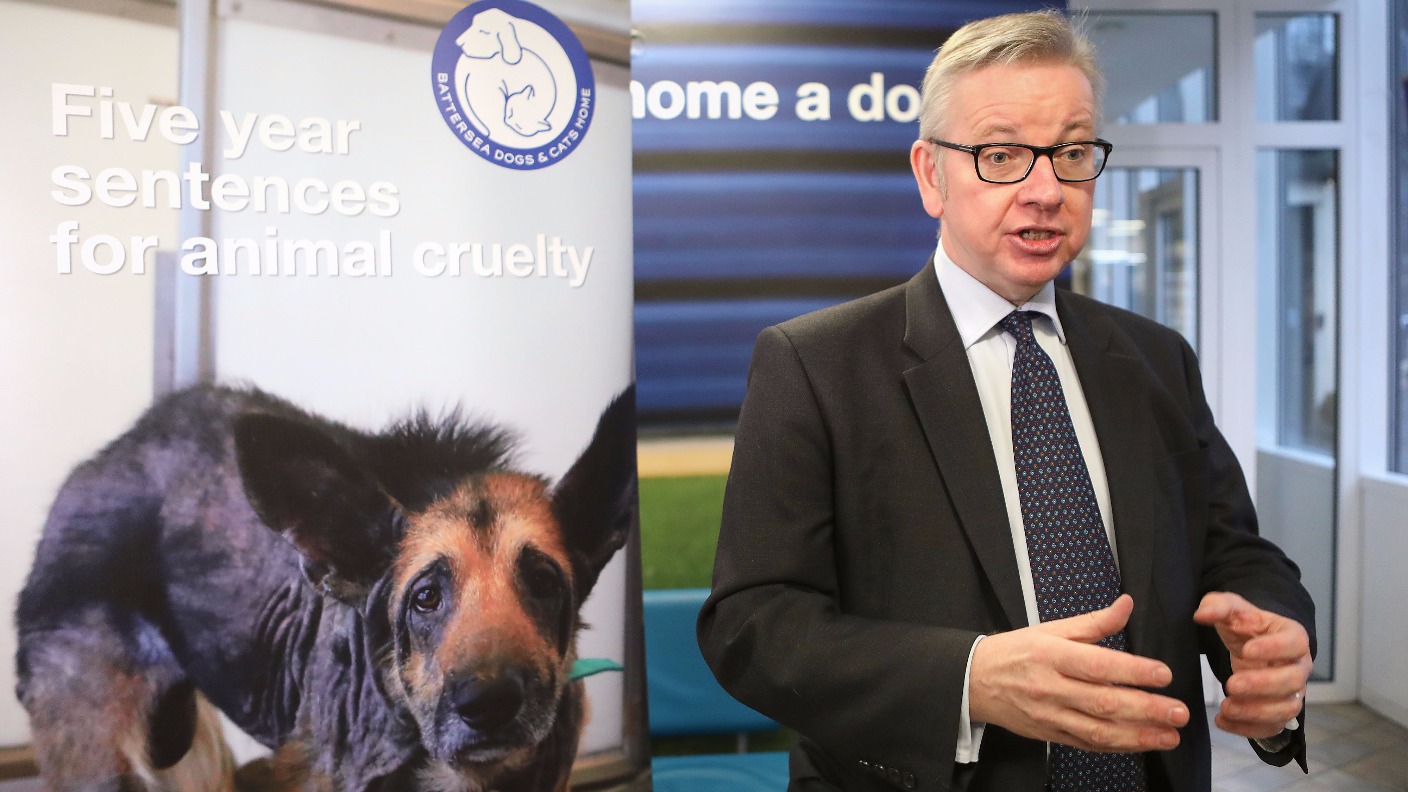 Gove Insists Brexit Is Great For Animal Welfare With Draft Bill   ImportedImage223126 Header