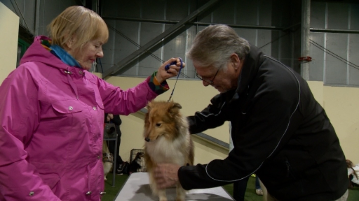 Local dog club shortlisted for national award ITV News Channel