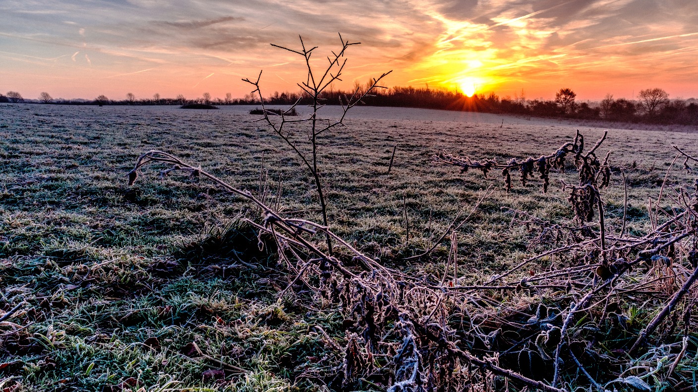Anglia Weather: Cold and frosty start but staying bright through today ...