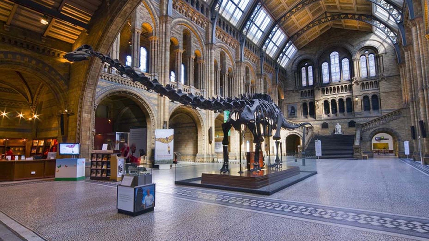 dippy the dinosaur tour