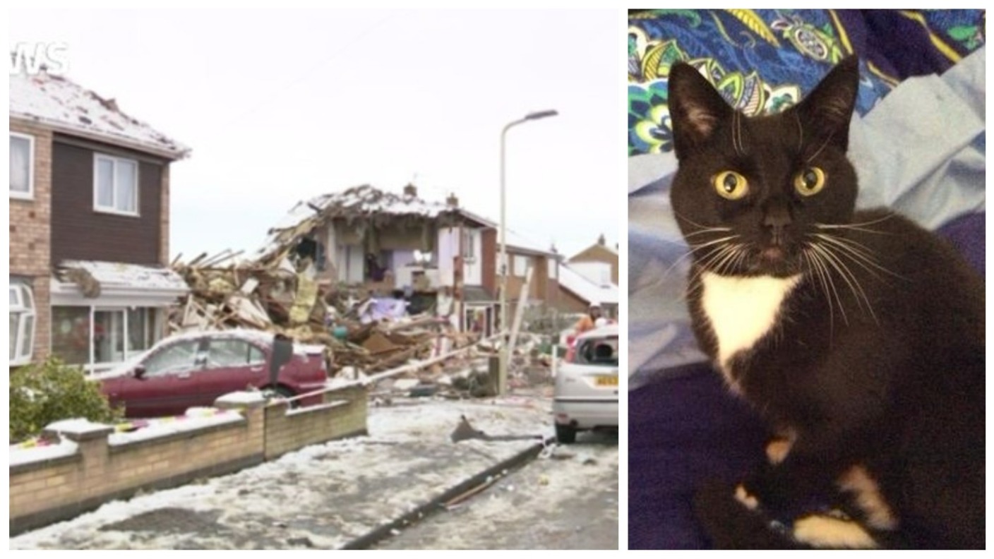 Cat returns home two months after devastating gas explosion | ITV News ...