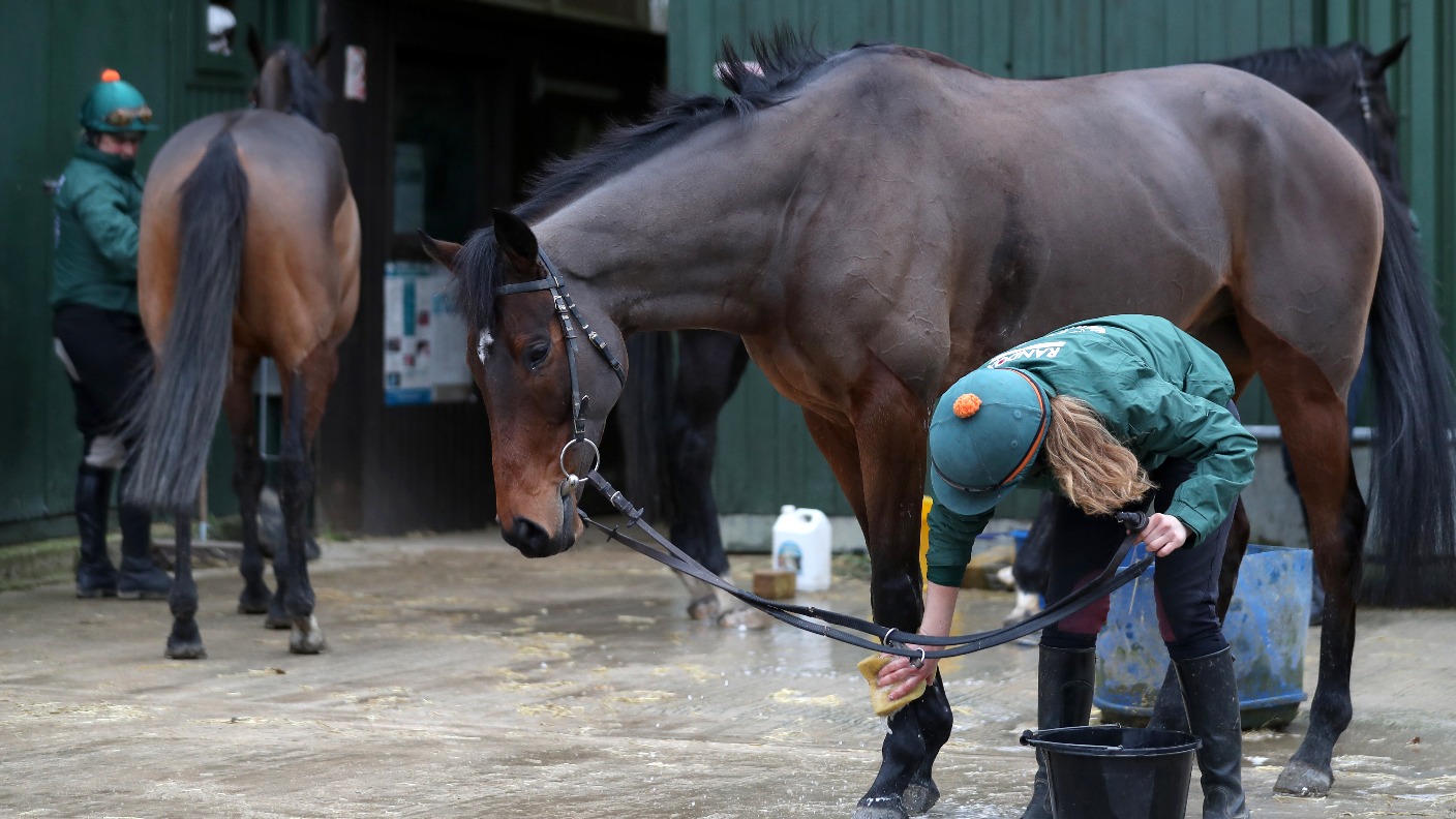 Strangles disease confirmed in a stable in Jersey ITV News Channel