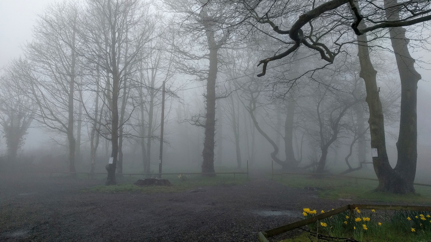 Anglia Weather: Cloudy with patchy mist and fog lingering | ITV News Anglia