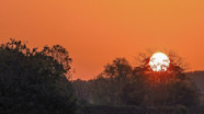May Day Bank Holiday Confirmed As Hottest On Record ITV News Anglia