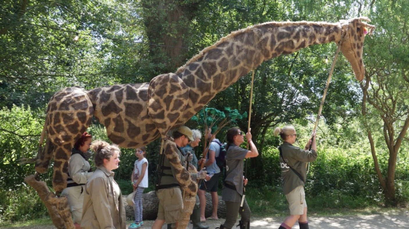 chester zoo soft toys