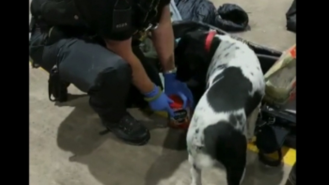 Police dog sniffs out substance hidden deep in coffee jar | ITV News ...