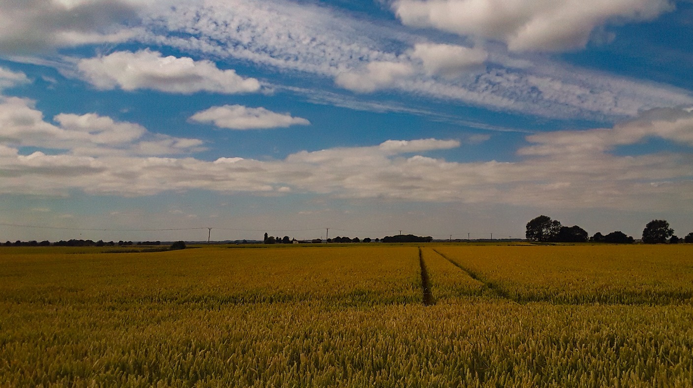 Anglia Weather: Sunny spells after a cloudy start | ITV News Anglia