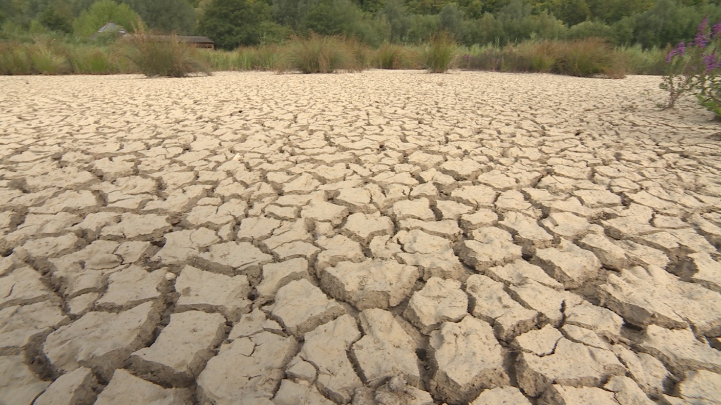 Dry as a bone how the heatwave takes a toll on our region's landscape