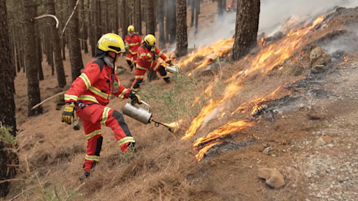 How using fire instead of water could help firefighters tackle UK blazes