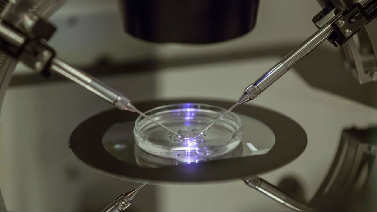 US hospital pauses IVF treatment after ruling claims frozen embryos are children