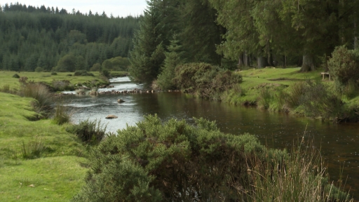 Wild Campers Urged To Stay Away From Dartmoor Despite A Lift On Short Term Ban Itv News West Country