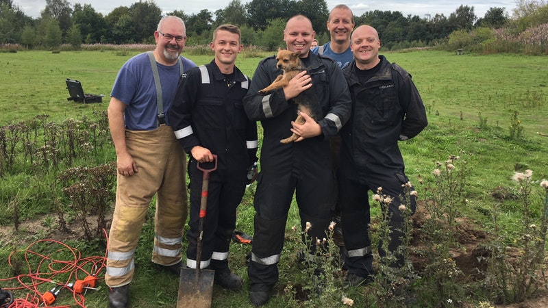 Firefighters rescue dog stuck in rabbit warren for four hours | ITV News