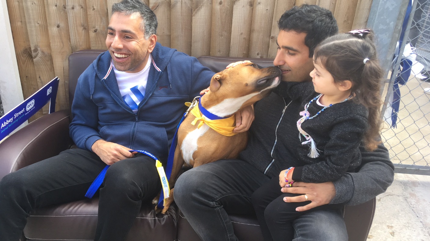 Derby's newly refurbished RSPCA centre opens to public | ITV News Central