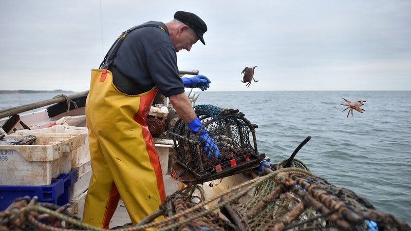 Shortage of crab fishermen in Cromer ‘a real concern’ | ITV News