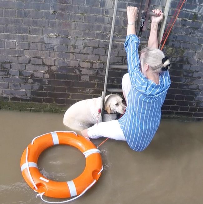 Dog and its owner eventually rescued by the RNLI