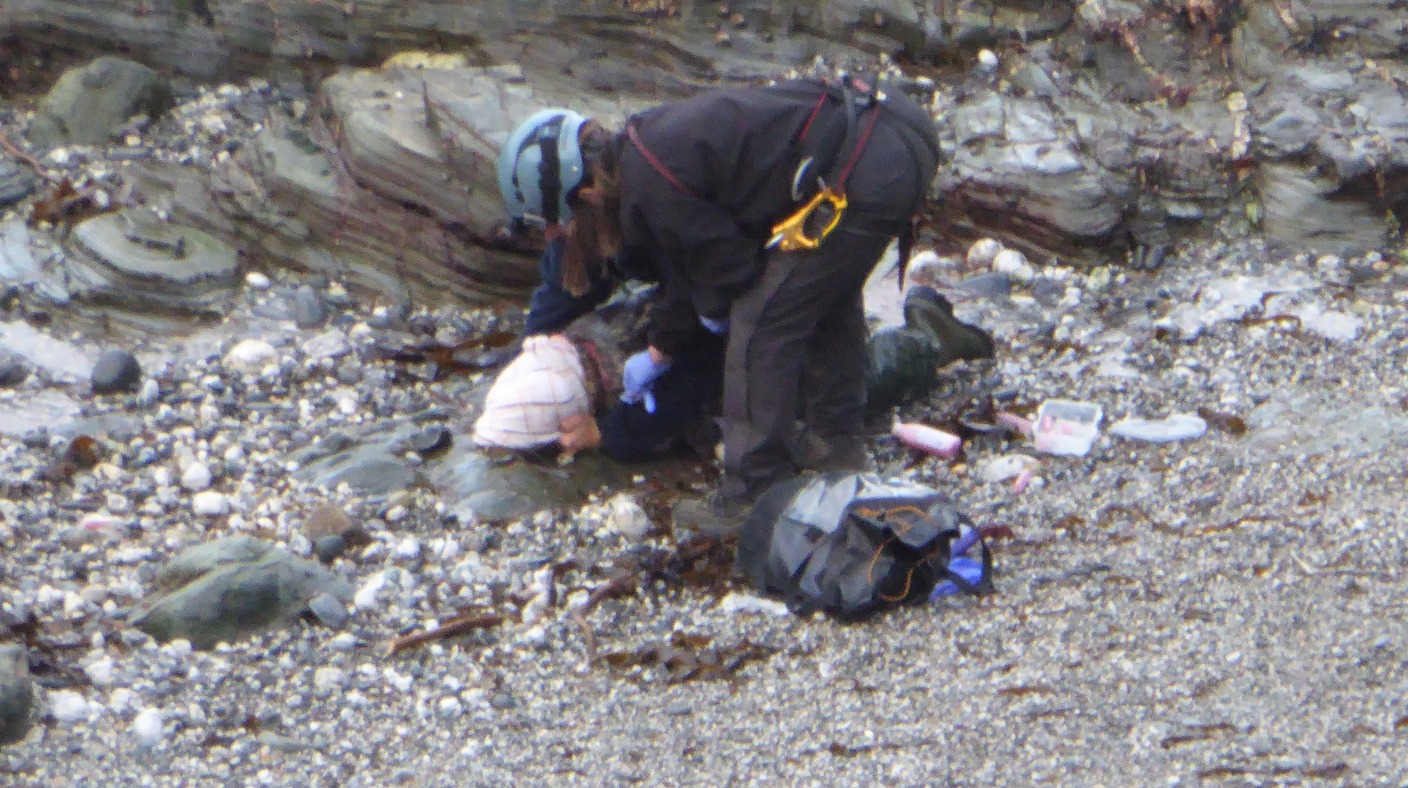 Tragedy as Scarborough seal dies after becoming entangled in