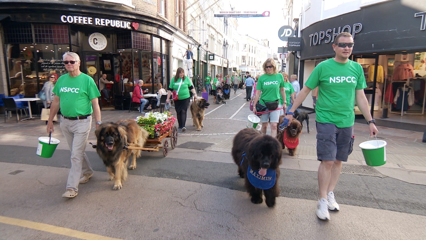 Big dog walk raises £600 for NSPCC Jersey ITV News Channel