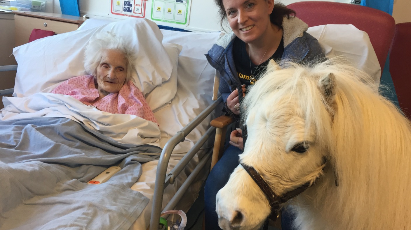 Patients feeling a little horse at Southend Hospital ITV News Anglia