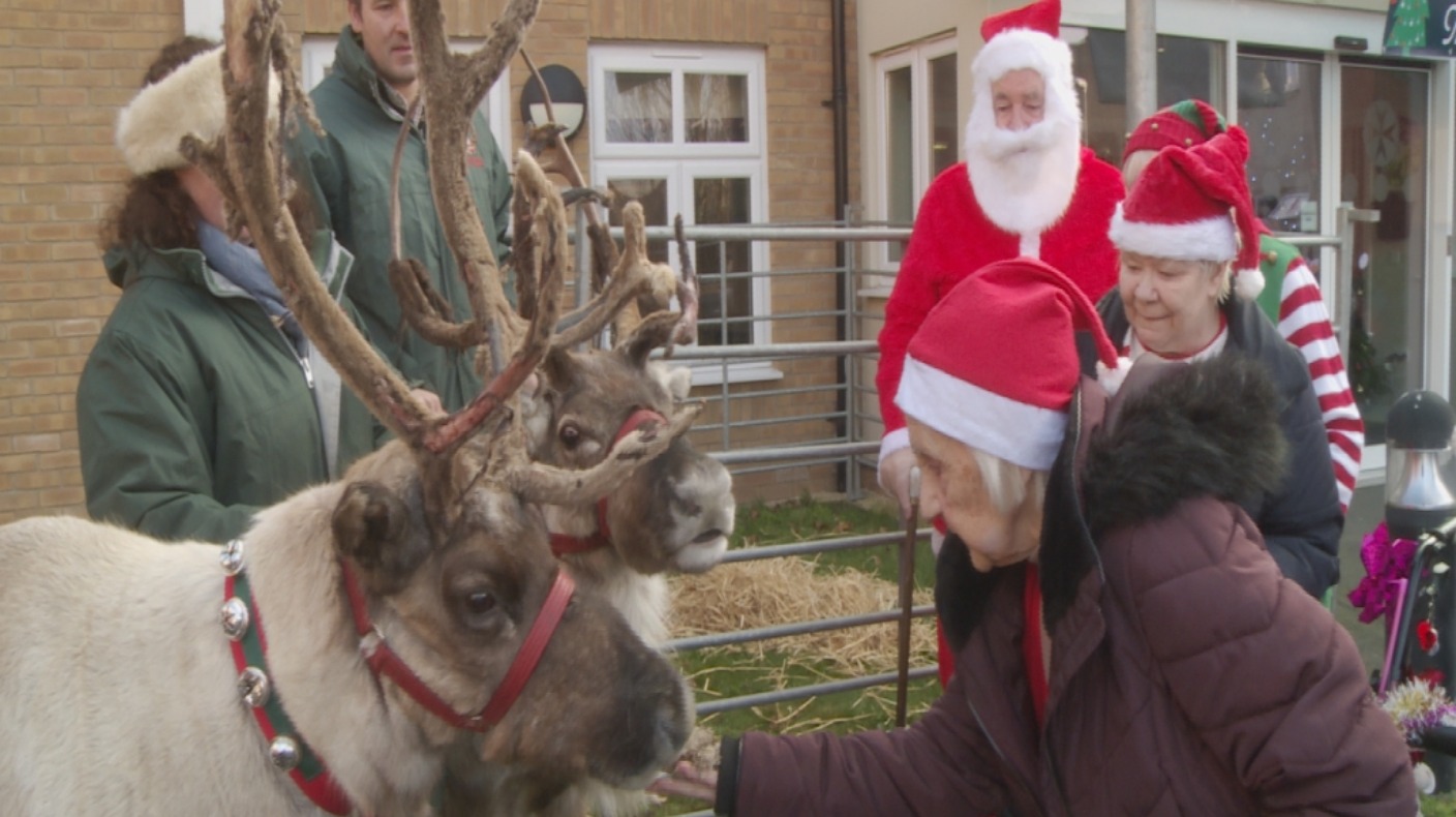 Reindeer bring Christmas cheer to care home residents ITV News Meridian