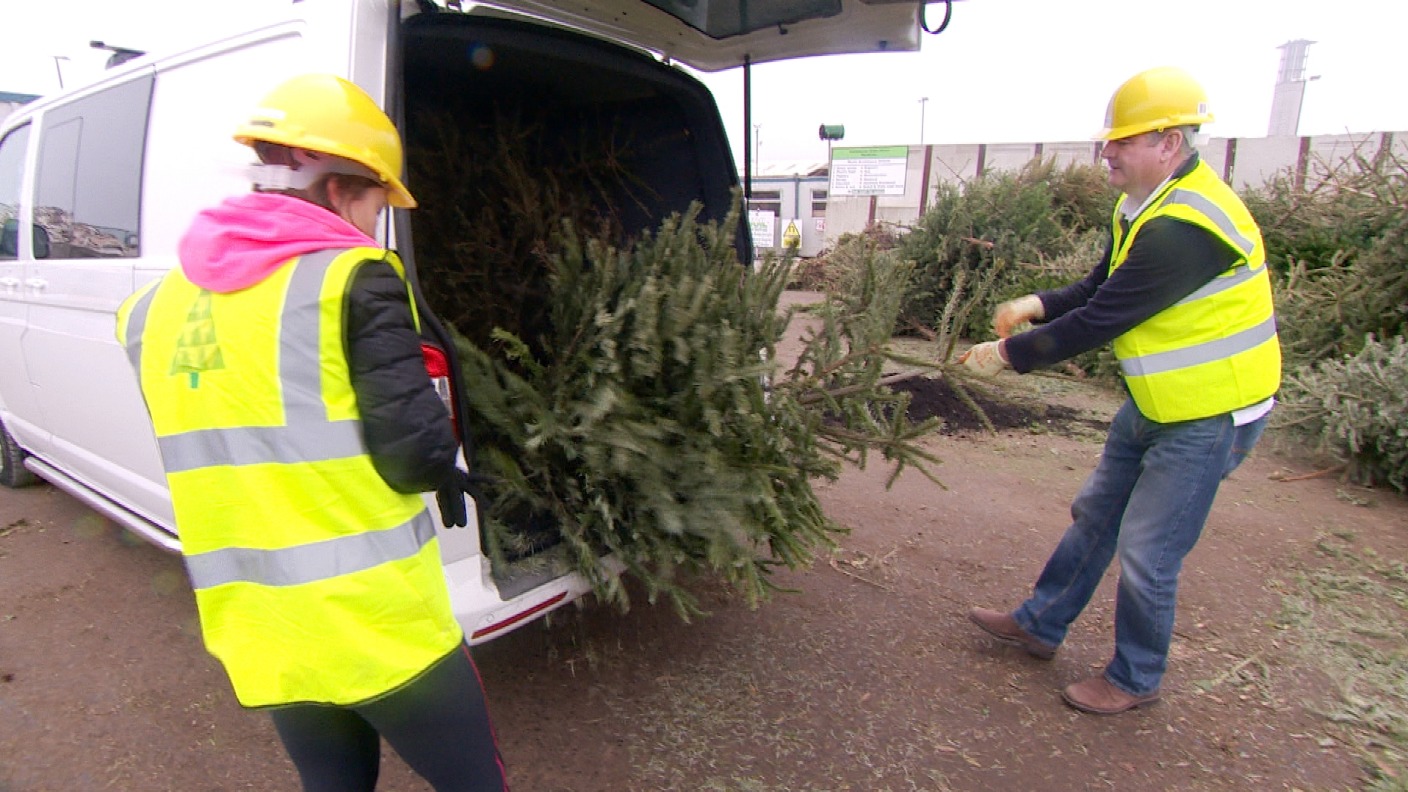 Islanders encouraged to recycle their Christmas trees in Guernsey ITV