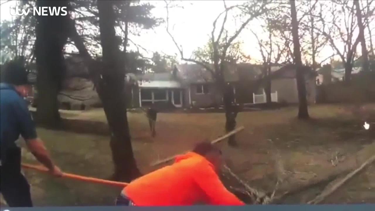 Missouri officers discover how to free a deer trapped in a hammock ...