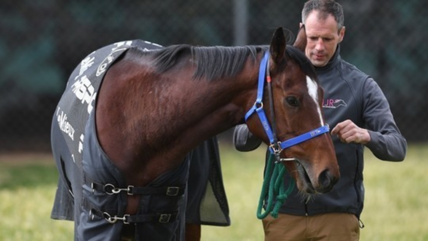 Woman dies after falling from horse ITV News Border