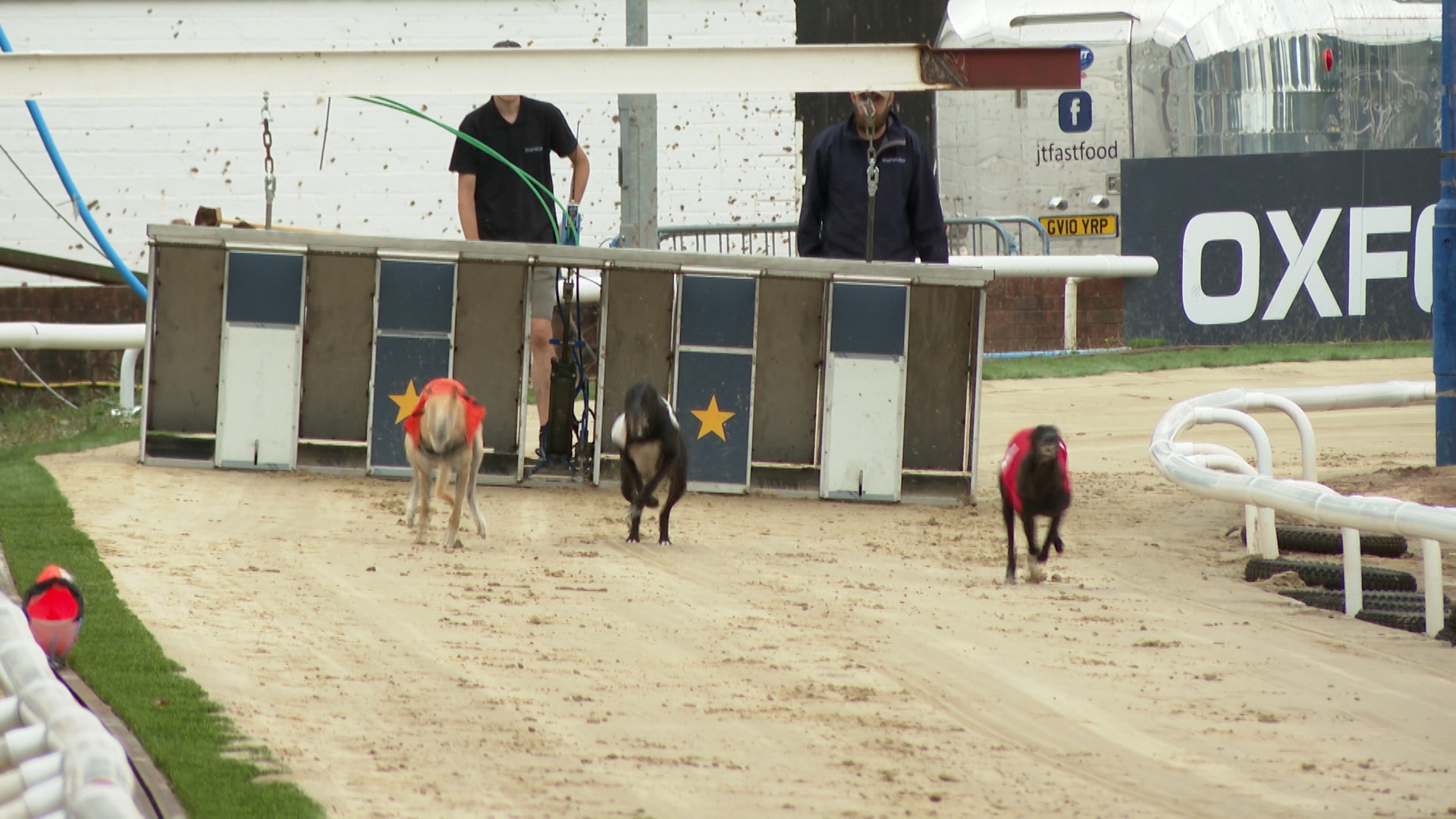 Greyhound Crossroads - Lure Coursing