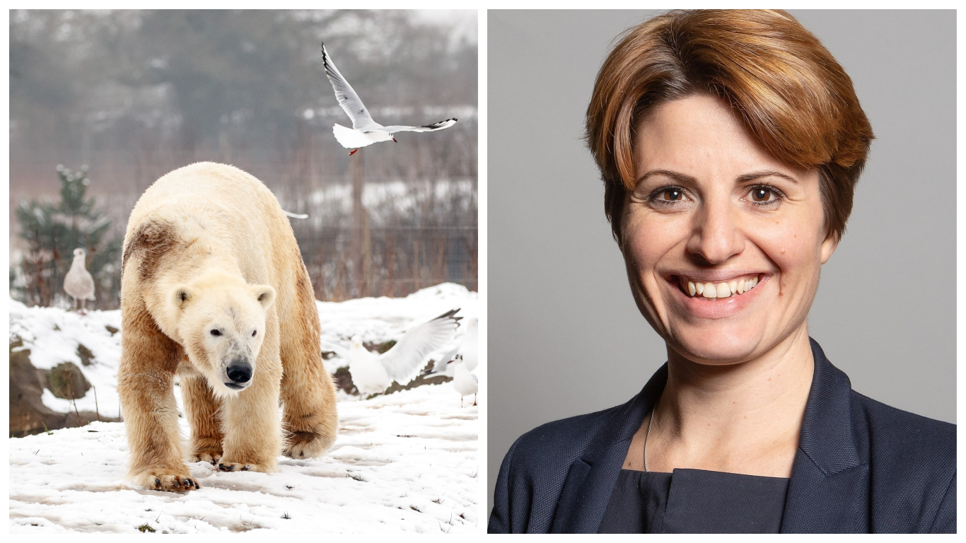 Zoos and aquariums trapped in 'desperate situation' as Hull MP calls for access to emergency