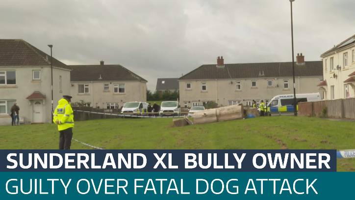 XL Bully owner pleads guilty over dog attack which left neighbour dead ...